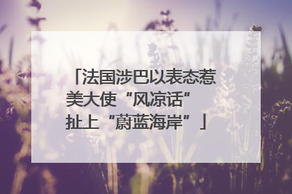 法国涉巴以表态惹美大使“风凉话” 扯上“蔚蓝海岸”