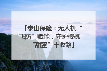 泰山保险：无人机“飞防”赋能，守护樱桃“甜蜜”丰收路