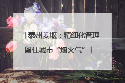 泰州姜堰：精细化管理留住城市“烟火气”