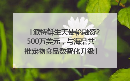 派特鲜生天使轮融资2500万美元，与海鼎共推宠物食品数智化升级