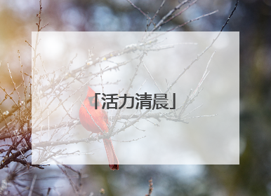 活力清晨
