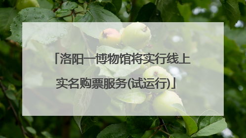 洛阳一博物馆将实行线上实名购票服务(试运行)