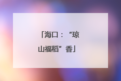 海口：“琼山福稻”香