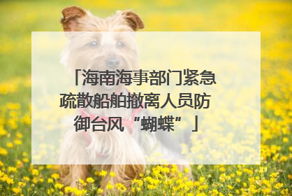 海南海事部门紧急疏散船舶撤离人员防御台风“蝴蝶”