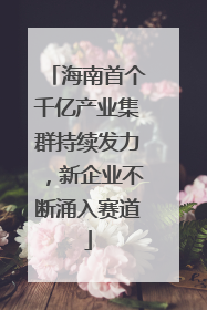 海南首个千亿产业集群持续发力，新企业不断涌入赛道