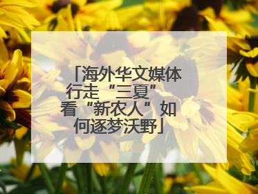 海外华文媒体行走“三夏” 看“新农人”如何逐梦沃野