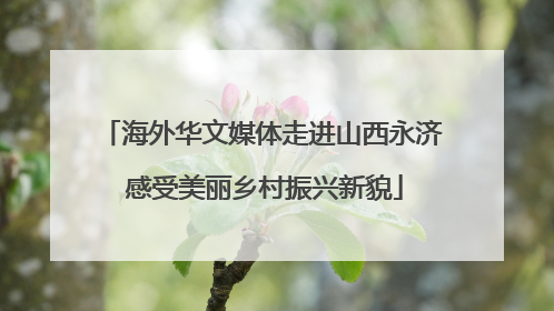 海外华文媒体走进山西永济 感受美丽乡村振兴新貌