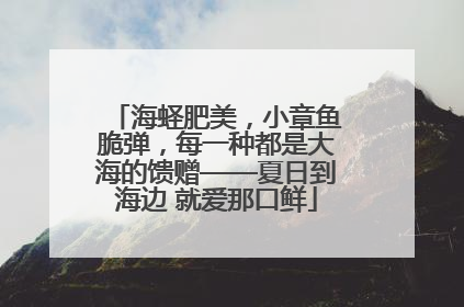 海蛏肥美，小章鱼脆弹，每一种都是大海的馈赠——夏日到海边 就爱那口鲜