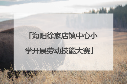 海阳徐家店镇中心小学开展劳动技能大赛