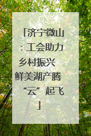 济宁微山：工会助力乡村振兴 鲜美湖产腾“云”起飞