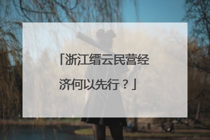 浙江缙云民营经济何以先行？