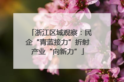浙江区域观察：民企“青蓝接力”折射产业“向新力”