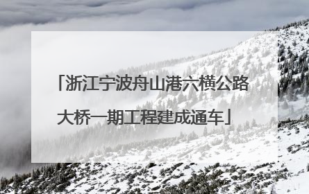 浙江宁波舟山港六横公路大桥一期工程建成通车
