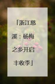 浙江慈溪：杨梅之乡开启丰收季