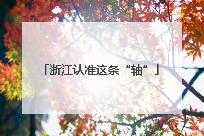 浙江认准这条“轴”