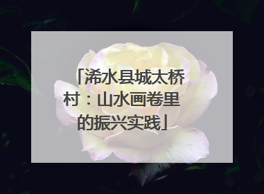 浠水县城太桥村：山水画卷里的振兴实践