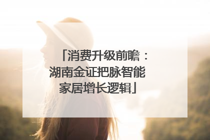 消费升级前瞻：湖南金证把脉智能家居增长逻辑
