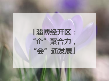 淄博经开区：“企”聚合力，“会”通发展