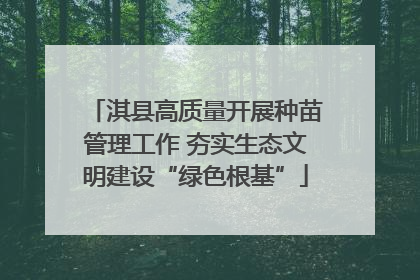 淇县高质量开展种苗管理工作 夯实生态文明建设“绿色根基”