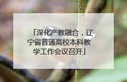 深化产教融合，辽宁省普通高校本科教学工作会议召开