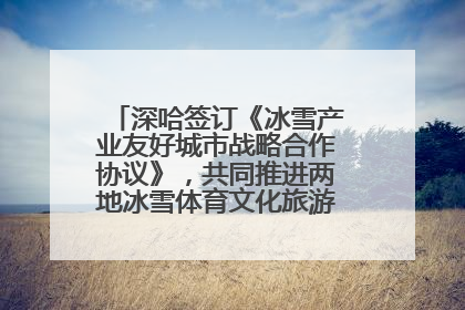 深哈签订《冰雪产业友好城市战略合作协议》，共同推进两地冰雪体育文化旅游高质量发展