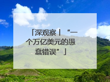 深观察丨“一个万亿美元的愚蠢错误”