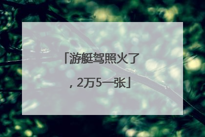 游艇驾照火了，2万5一张
