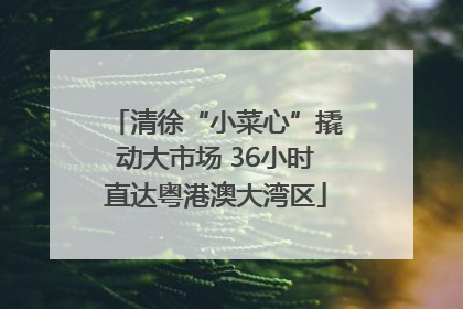 清徐“小菜心”撬动大市场 36小时直达粤港澳大湾区