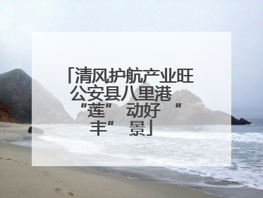 清风护航产业旺 公安县八里港 “莲” 动好 “丰” 景