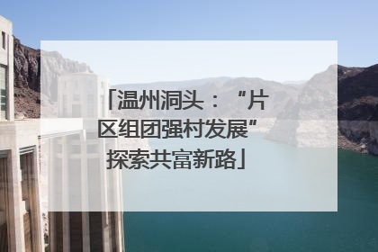 温州洞头：“片区组团强村发展”探索共富新路