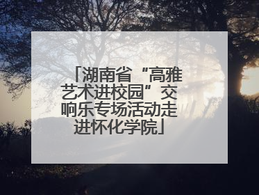 湖南省“高雅艺术进校园”交响乐专场活动走进怀化学院