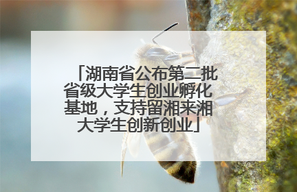 湖南省公布第二批省级大学生创业孵化基地，支持留湘来湘大学生创新创业