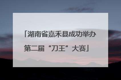 湖南省嘉禾县成功举办第二届“刀王”大赛