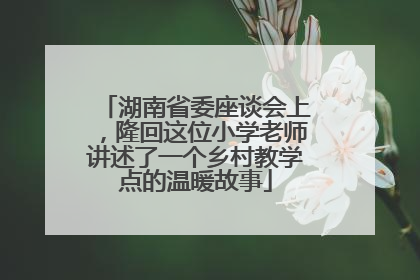 湖南省委座谈会上，隆回这位小学老师讲述了一个乡村教学点的温暖故事
