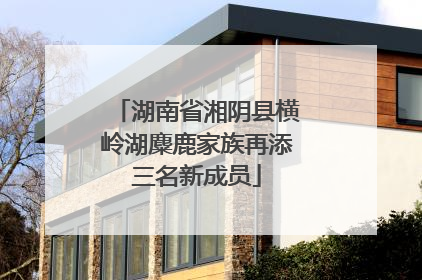 湖南省湘阴县横岭湖麋鹿家族再添三名新成员