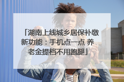 湖南上线城乡居保补缴新功能：手机点一点 养老金提档不用跑腿