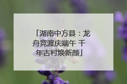 湖南中方县：龙舟竞渡庆端午 千年古村焕新颜