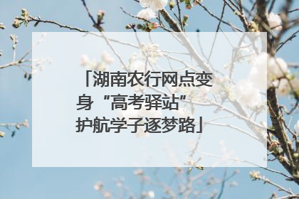 湖南农行网点变身“高考驿站” 护航学子逐梦路