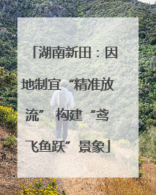 湖南新田：因地制宜“精准放流” 构建“鸢飞鱼跃”景象
