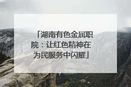 湖南有色金属职院：让红色精神在为民服务中闪耀
