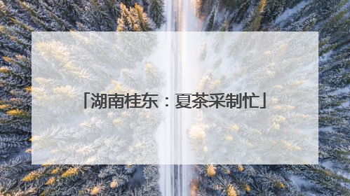 湖南桂东：夏茶采制忙