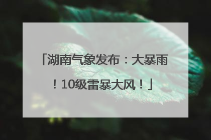 湖南气象发布：大暴雨！10级雷暴大风！