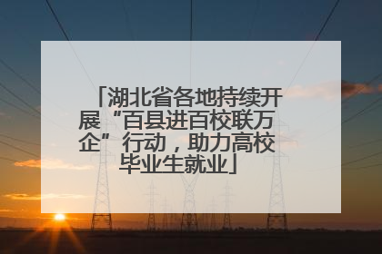 湖北省各地持续开展“百县进百校联万企”行动，助力高校毕业生就业