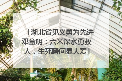 湖北省见义勇为先进邓章明：六米深水勇救人，生死瞬间显大爱