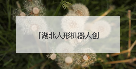 湖北人形机器人创新中心正式揭牌