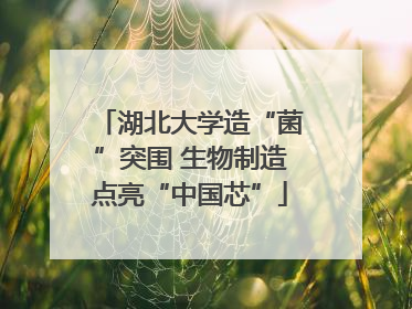 湖北大学造“菌”突围 生物制造点亮“中国芯”