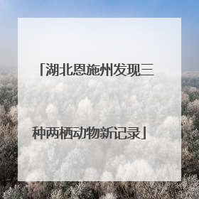 湖北恩施州发现三种两栖动物新记录