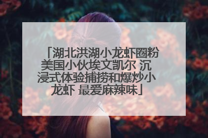湖北洪湖小龙虾圈粉美国小伙埃文凯尔 沉浸式体验捕捞和爆炒小龙虾 最爱麻辣味