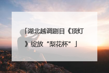 湖北越调剧目《顶灯》绽放“梨花杯”