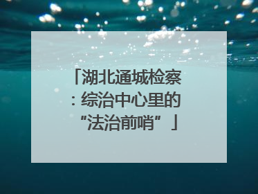 湖北通城检察：综治中心里的“法治前哨”